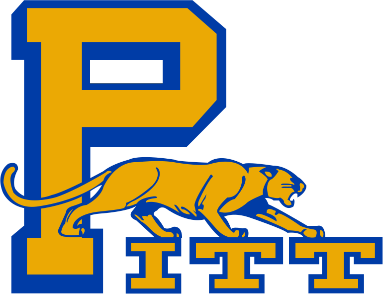 Pittsburgh Panthers 1974-1987 Primary Logo diy DTF decal sticker